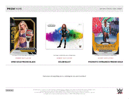 2022 Panini Prizm WWE Hobby 12 Box (Case)