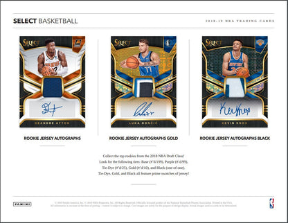 2018-19 Panini Select Basketball Hobby 12 Box (Case)