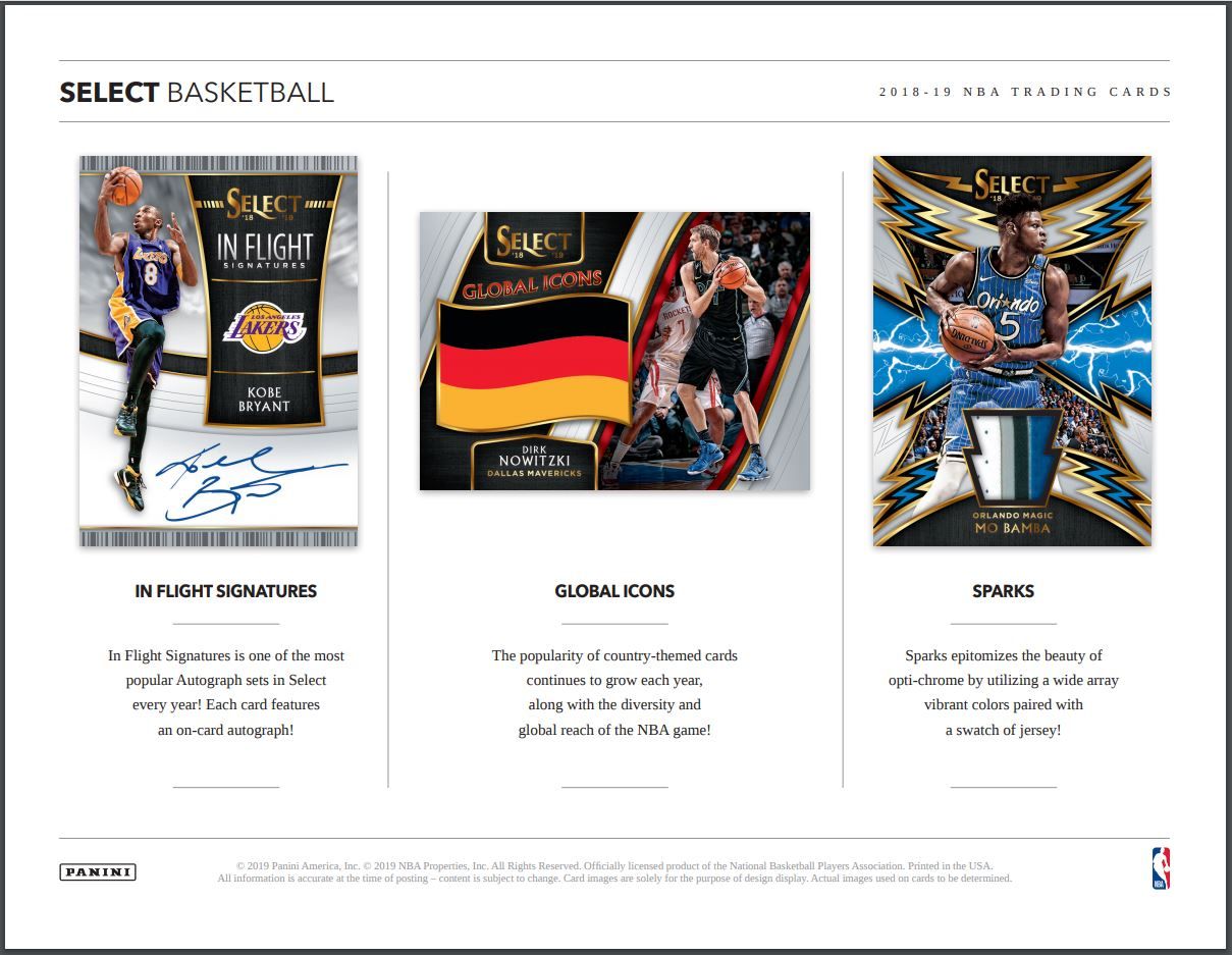 2018-19 Panini Select Basketball Hobby 12 Box (Case)