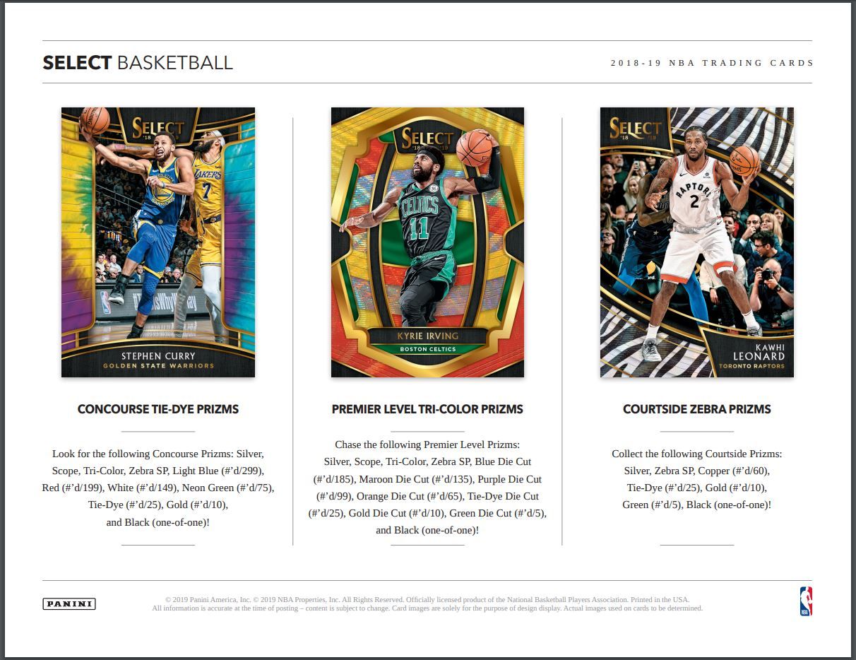 2018-19 Panini Select Basketball Hobby 12 Box (Case)